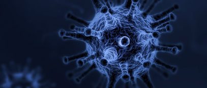 Article reasonable questions