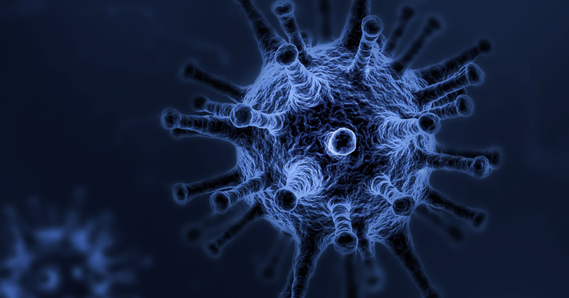 Reasonable Questions Regarding COVID-19