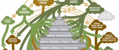 The corporate capture of public health web